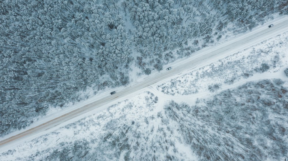 Photograph by Паша Савельев