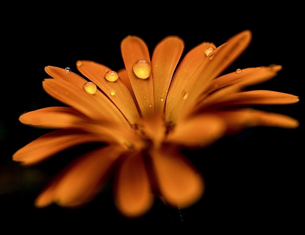 Фотография автора Helena