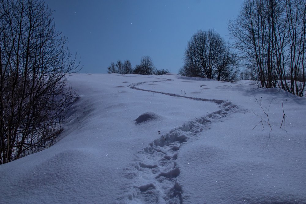 Photograph by Сергей Крышен