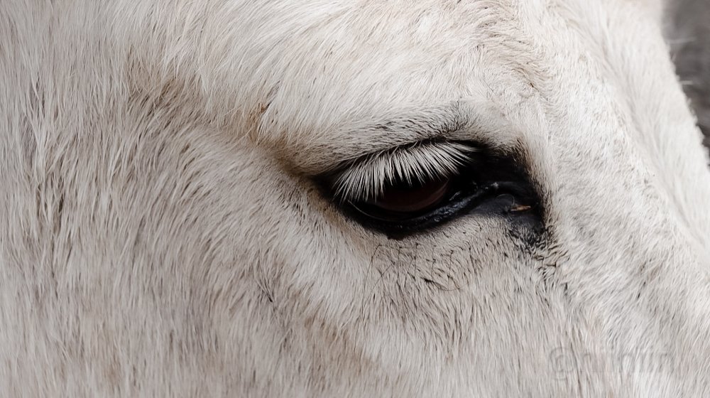 Photograph by Nileydi Colmenarez