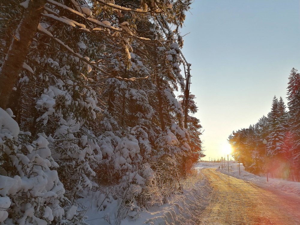 Позолоченная солнцем дорога