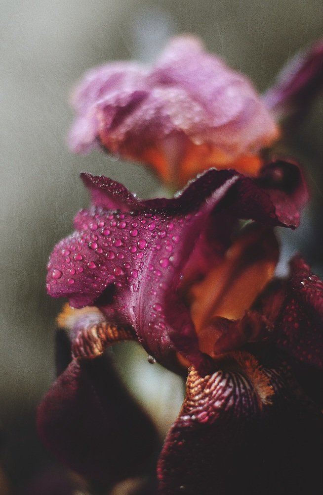 Photograph by Наталия Табоякова