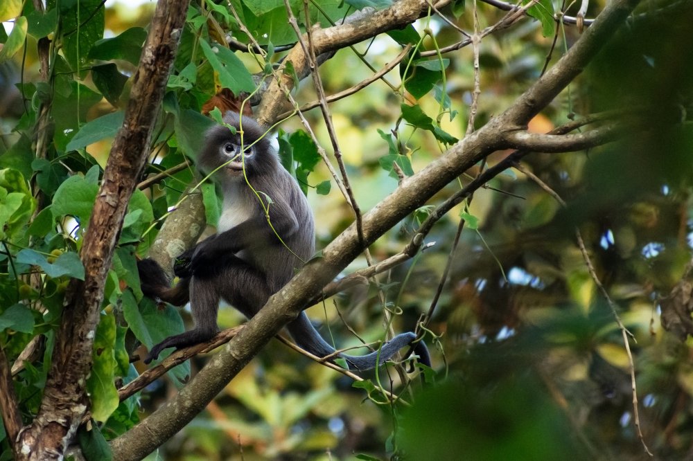 Photograph by Pinak Paul