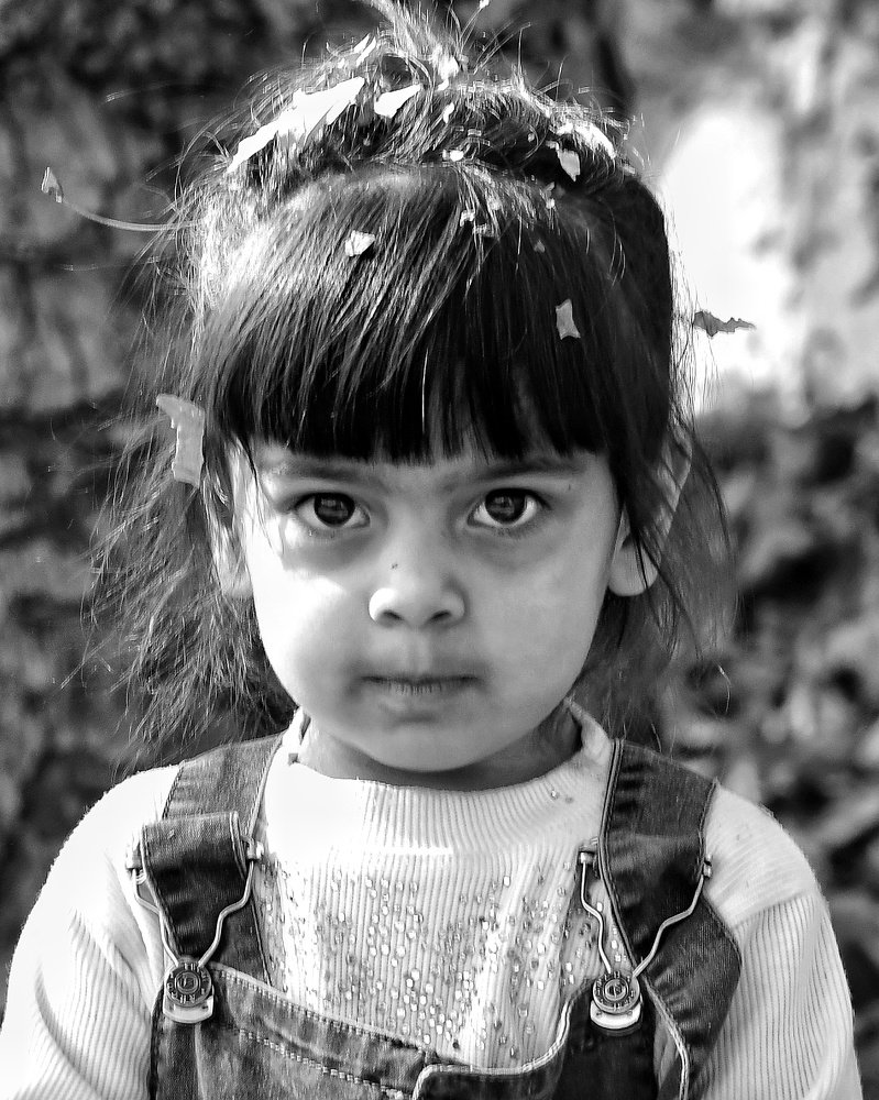 Photograph by hosseini farash seyedeh mohadeseh