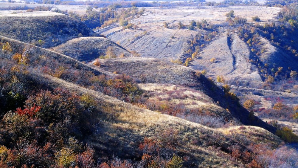 Щербаковский парк