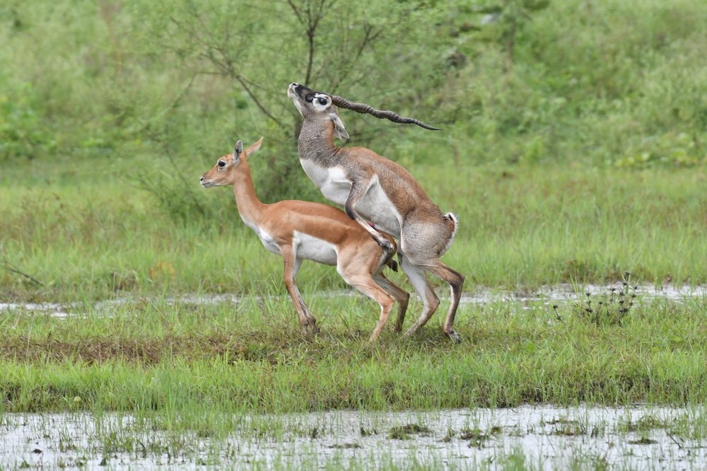 Photograph by Sandeep Pande