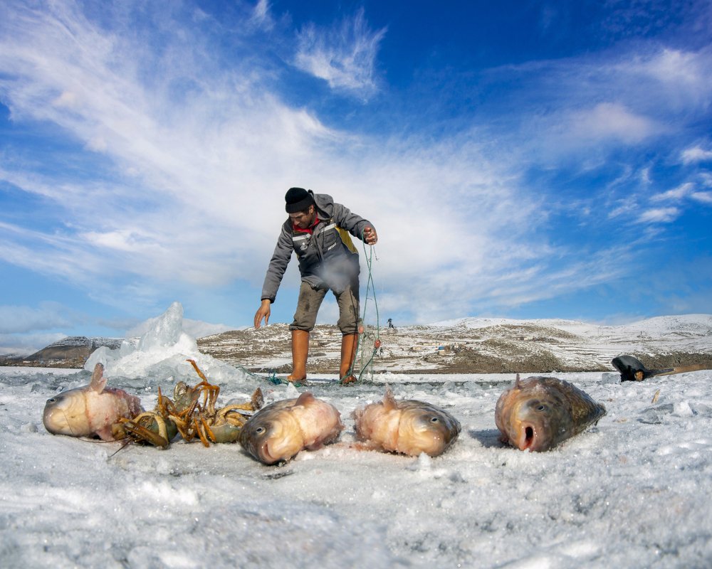 Photograph by Murat TOPAL