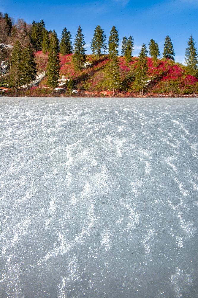 Photograph by Murat TOPAL