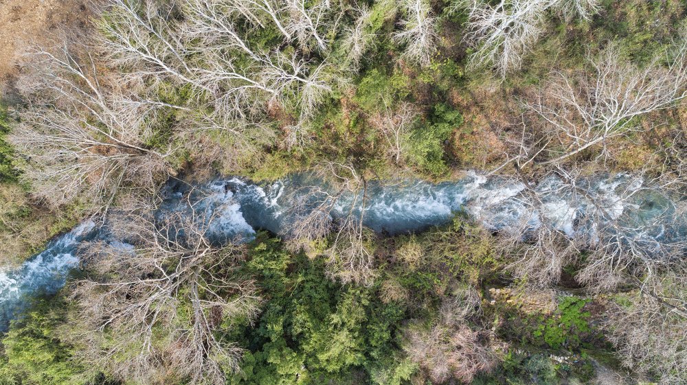 Aerial View of a River in a Forest
