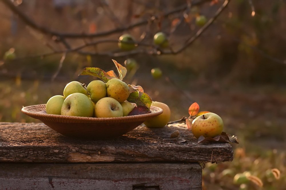 В осеннем саду