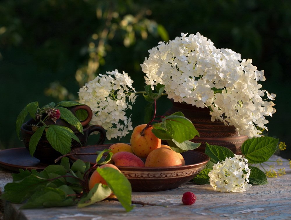 Летнее настроение.