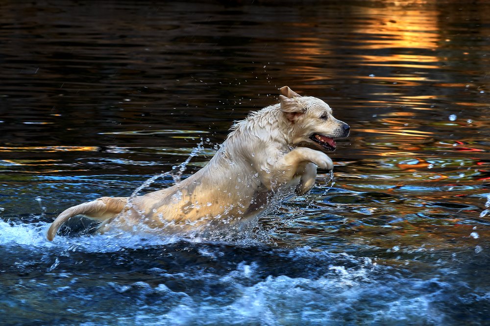 Photograph by Олег Богданов