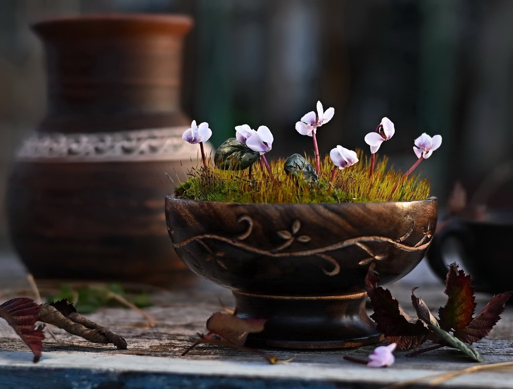 Весенние бабочки...