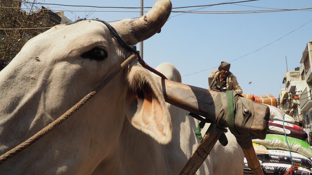 Photograph by Theodor Stanciu