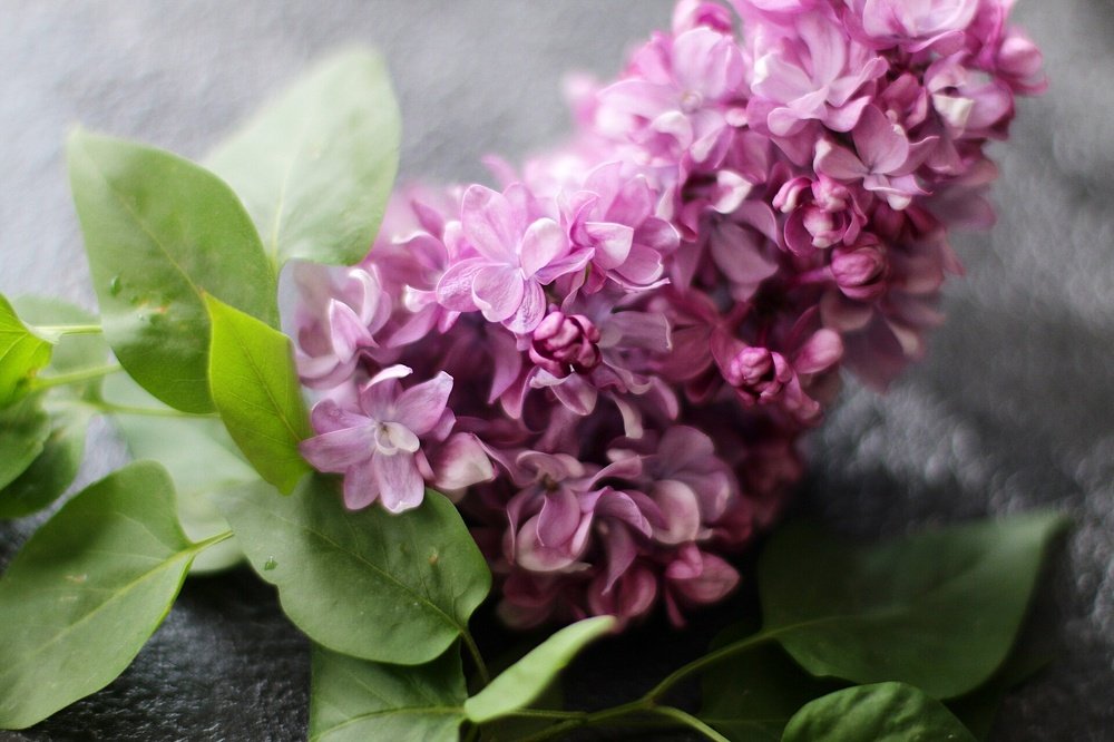 Photograph by Наталия Табоякова