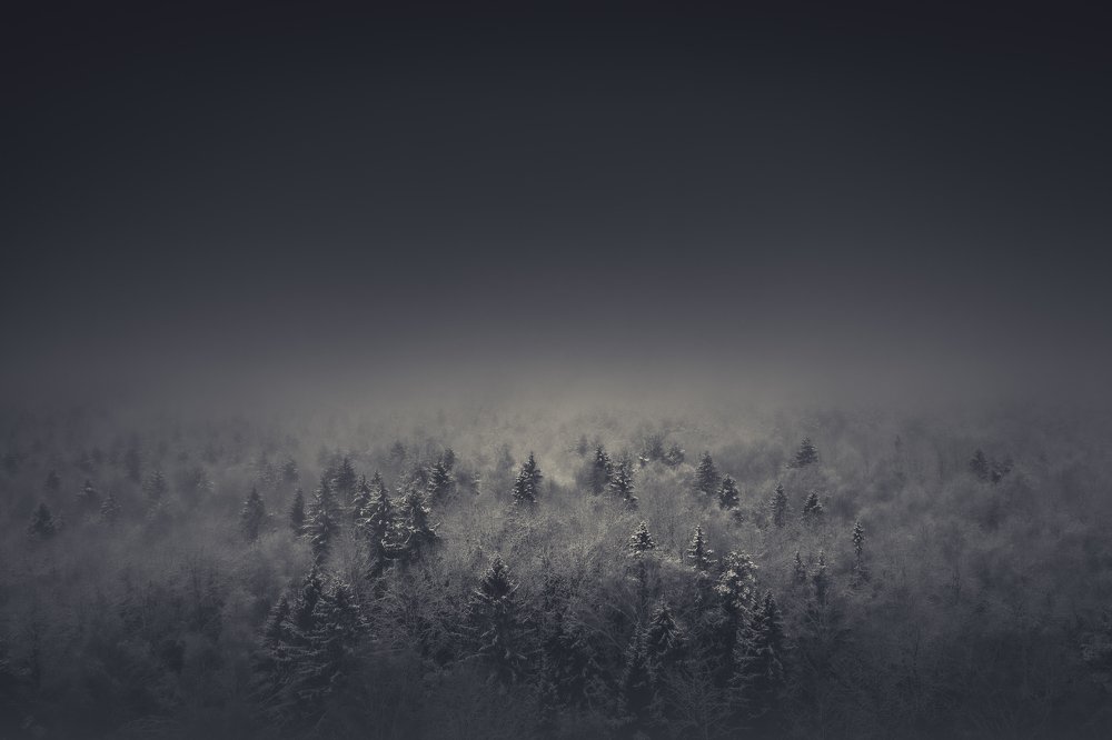 Photograph by Vladimir Golubev