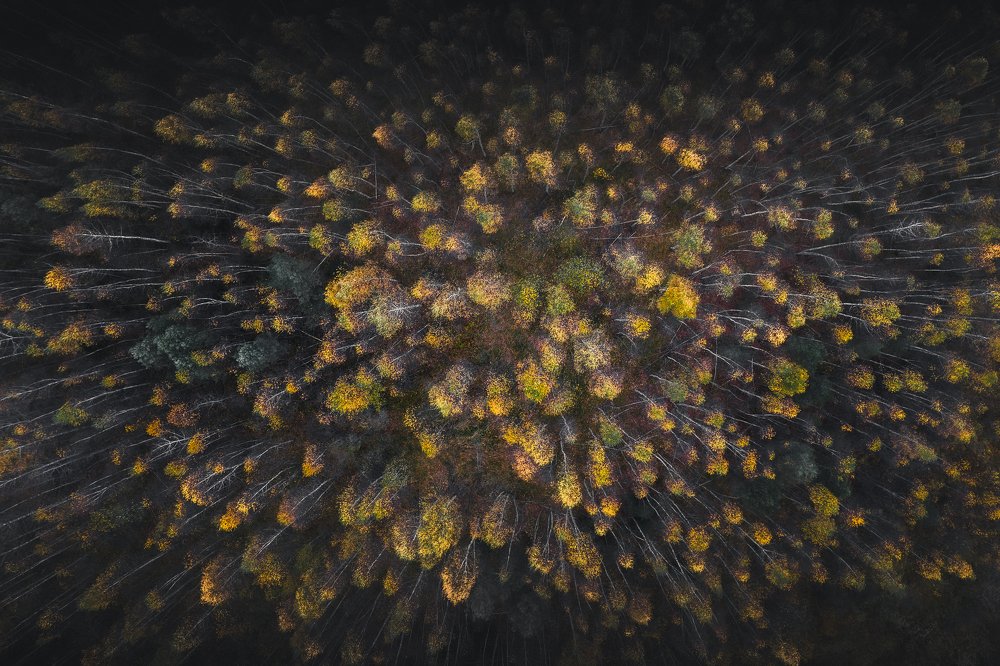 Photograph by Vladimir Golubev