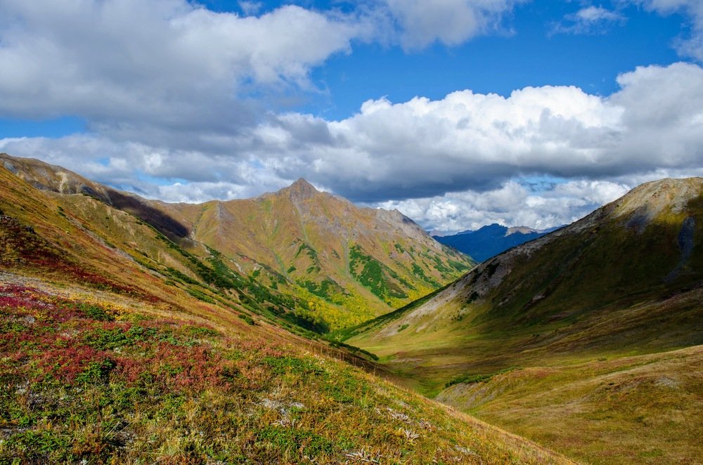 Камчатские краски