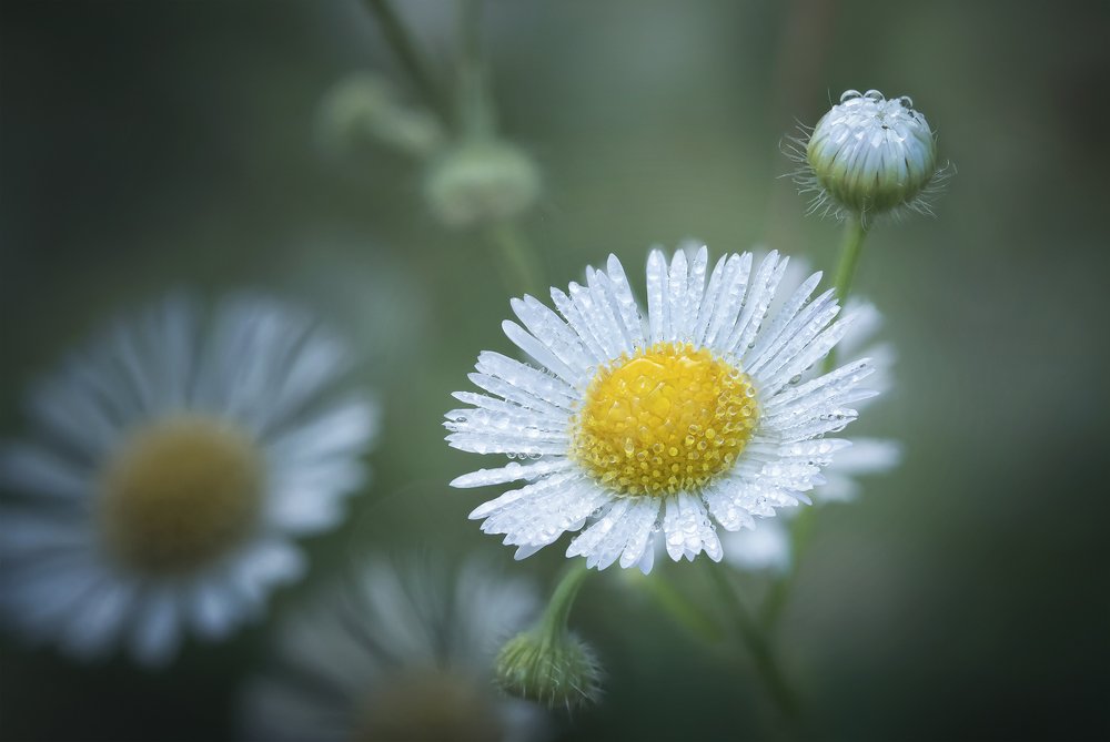 Photograph by Марина Хилько