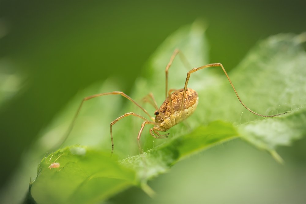 Photograph by Марина Хилько