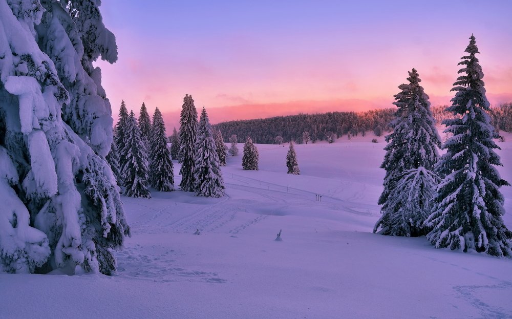 Photograph by Elena Wymann