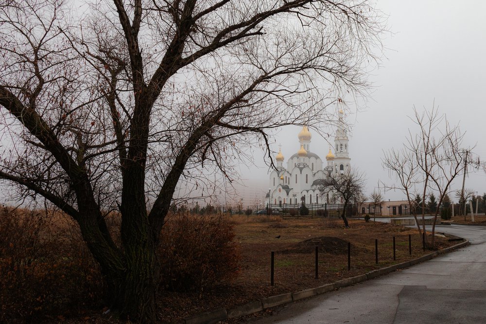 Photograph by Александр Пиленгас