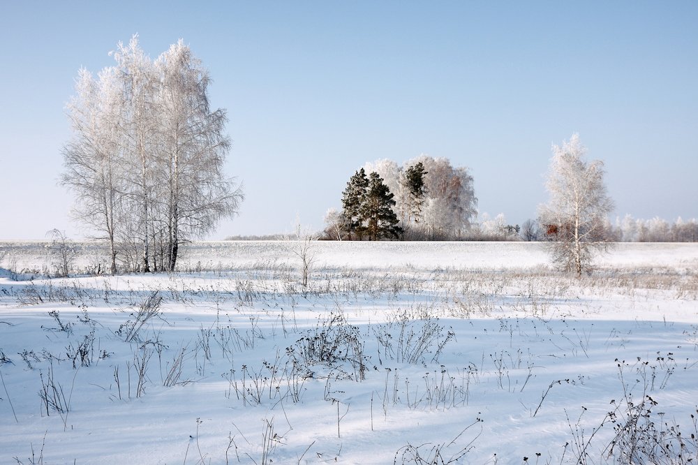 Зимний день.