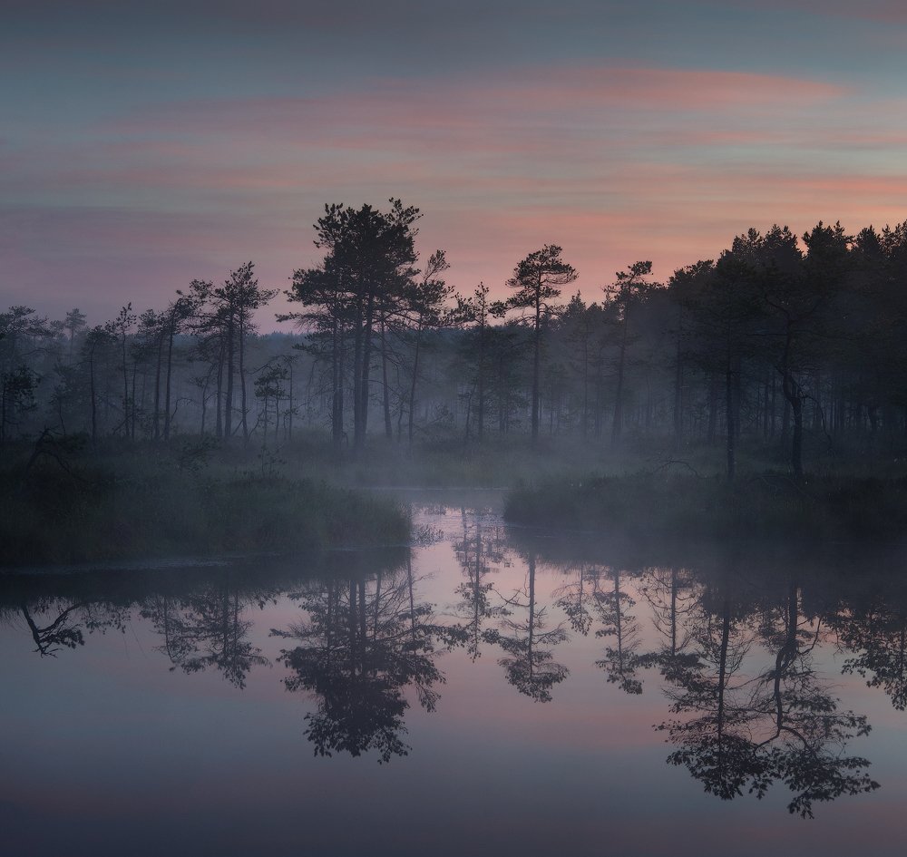 Photograph by Дмитрий Воронцов