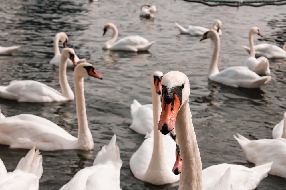 Photograph by Егор Волобуев