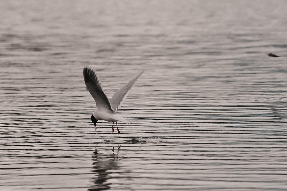 Photograph by Егор Волобуев