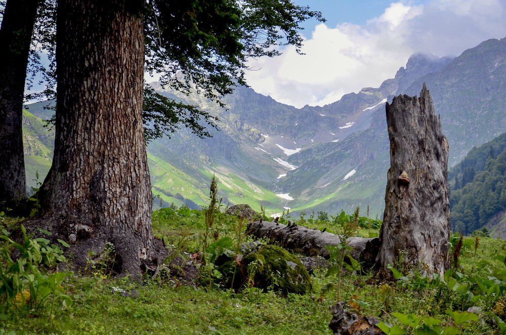 Как же красивы горы