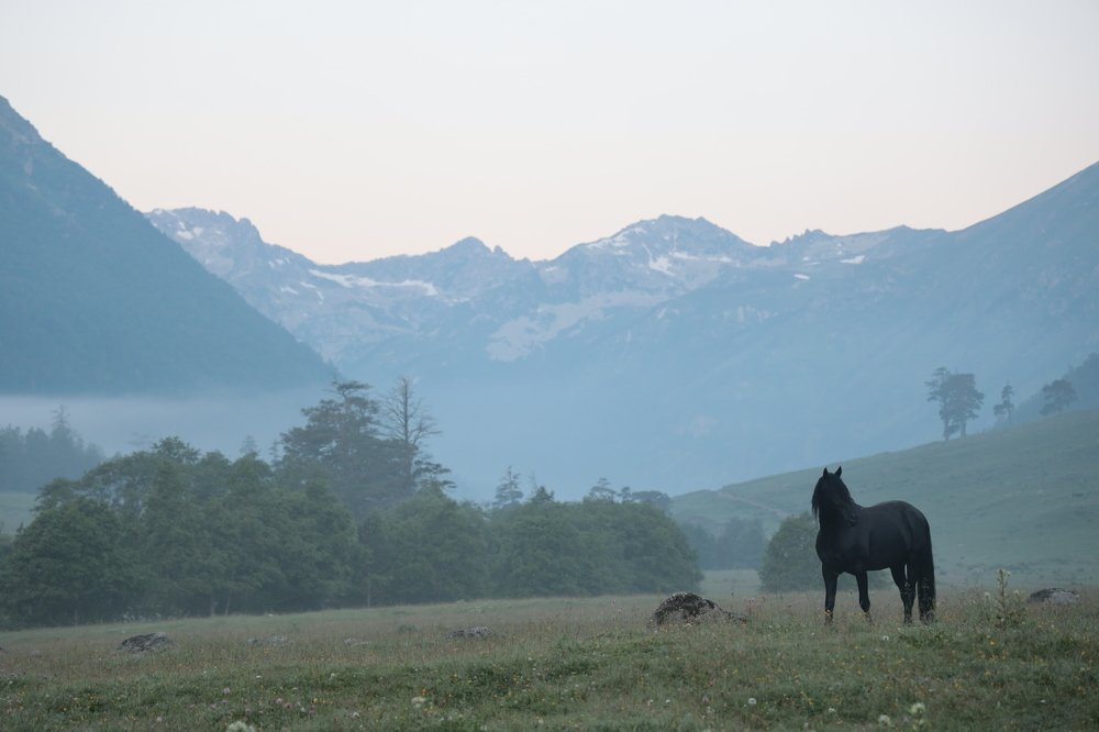 Photograph by Dmitriy Marchenko