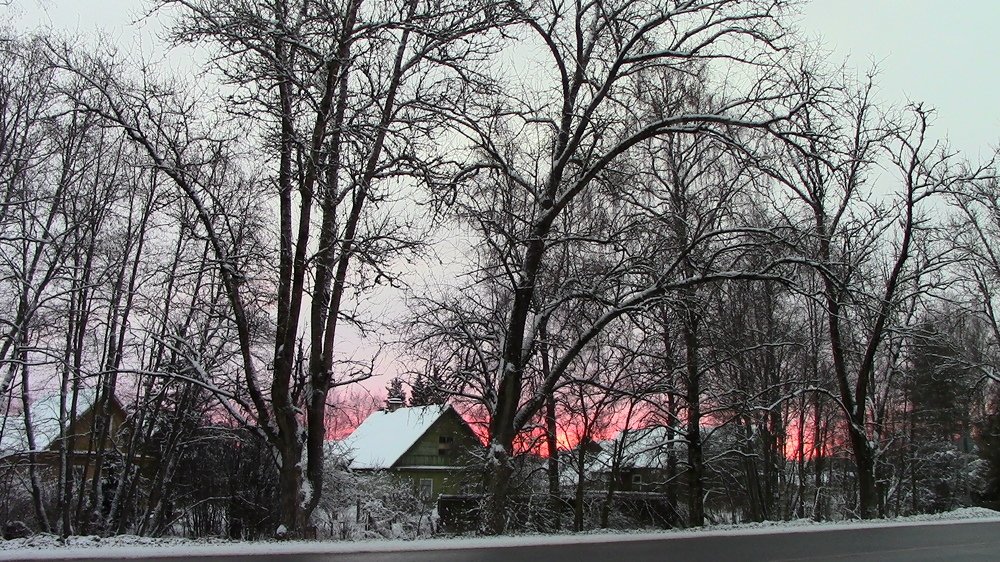 Photograph by Ирина Степановна Азаренкова