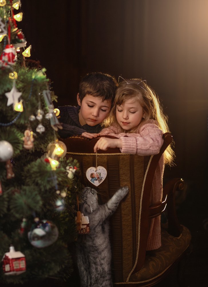 Photograph by Марина Еленчук