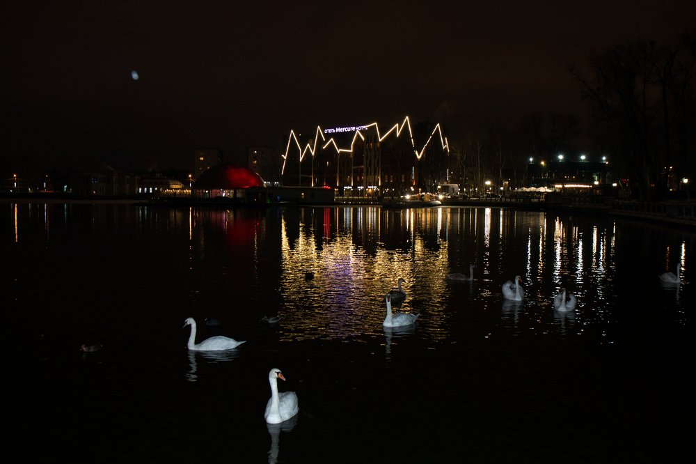Photograph by Владимир Иванченко