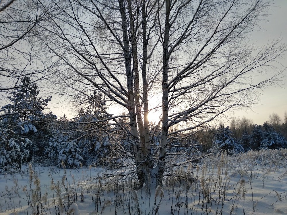 Photograph by Светлана