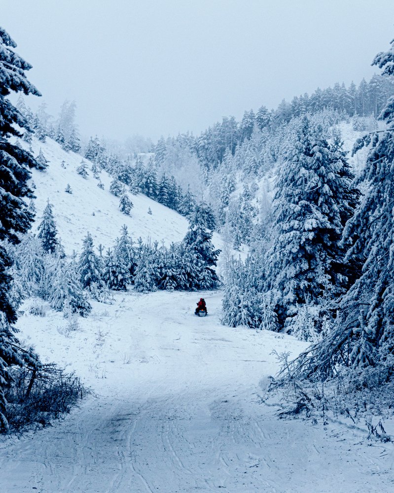 Photograph by Герман Матвеев