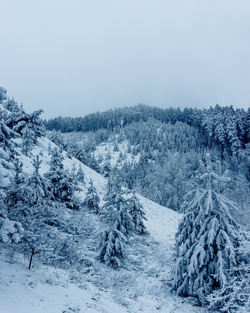 Photograph by Герман Матвеев