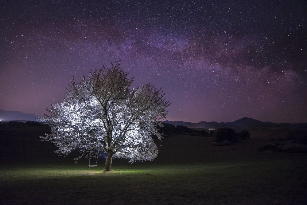 Photograph by Radim Ziman