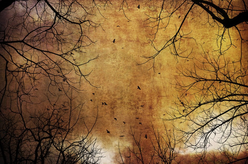 Photograph by Анастасия Кашенко