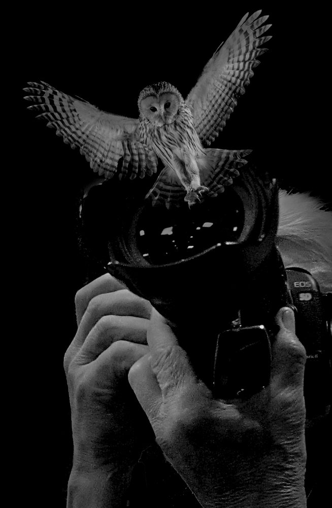 Photograph by Зоя Быкова