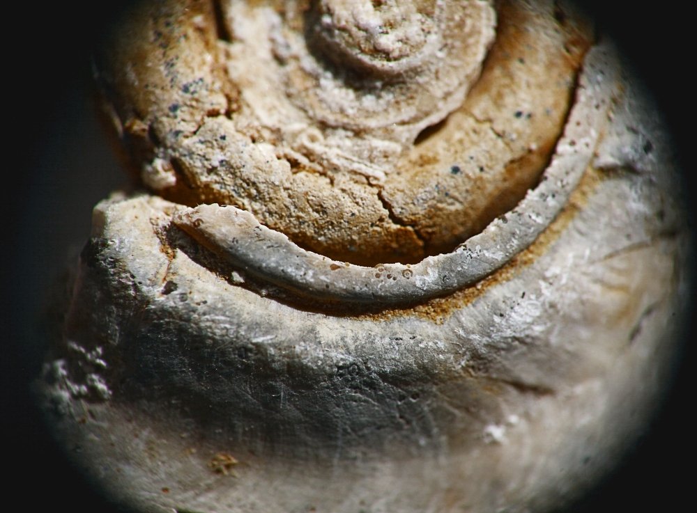 Фотография автора Дарья Мо