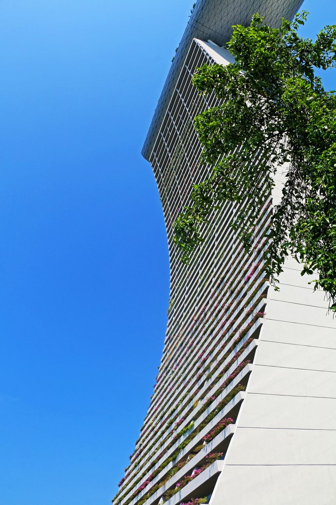 Photograph by Maheen Mahfin Neha