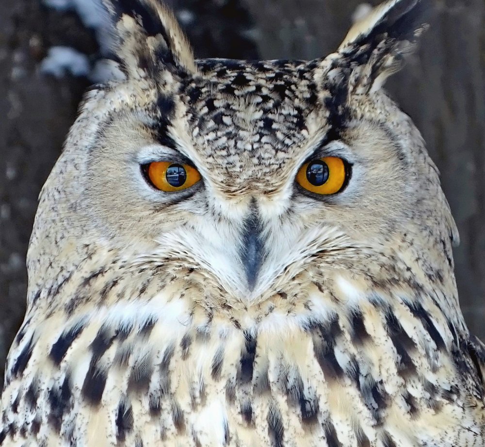 Фотография автора Валентина Гундарева