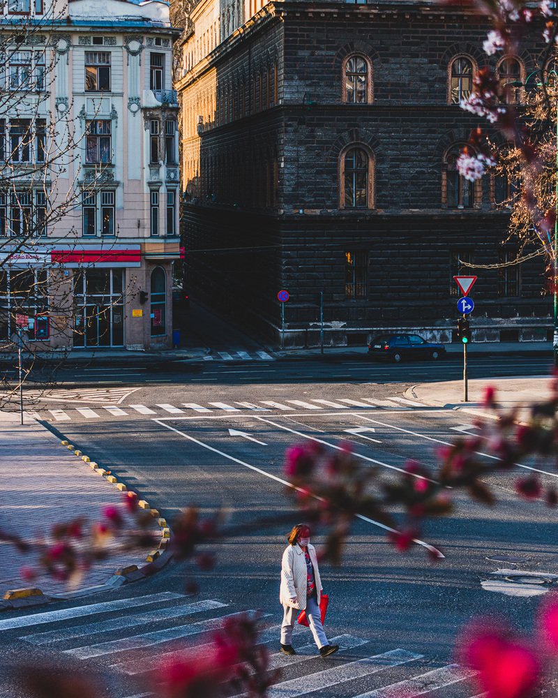 Photograph by Misael Silvera