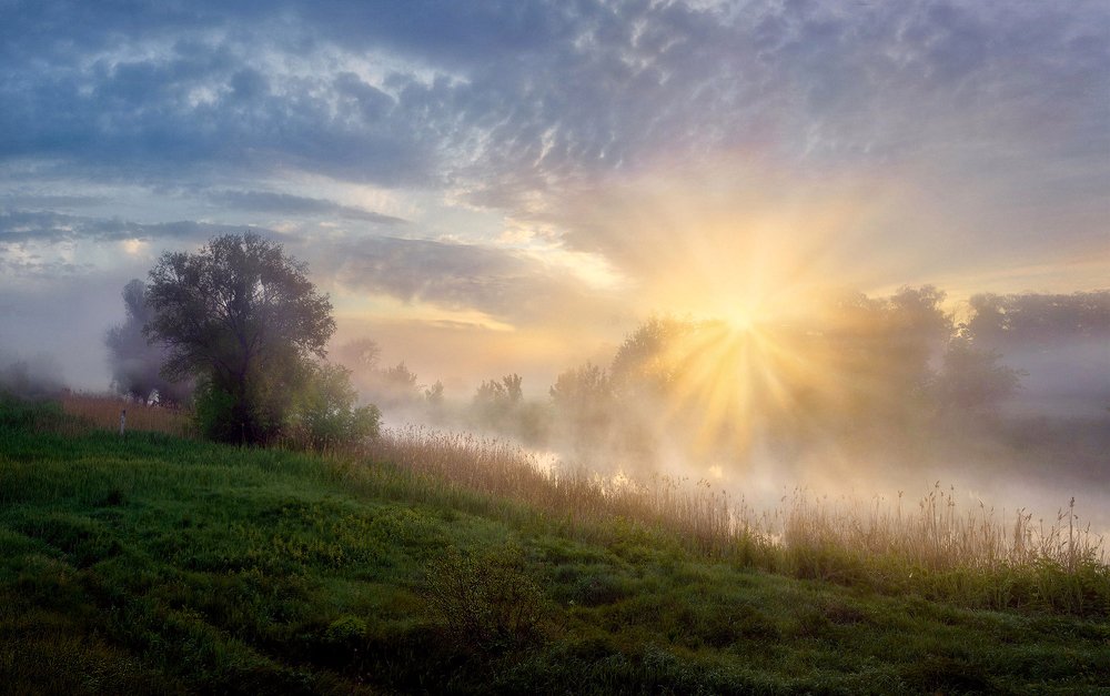 Photograph by Сергей Воробьев