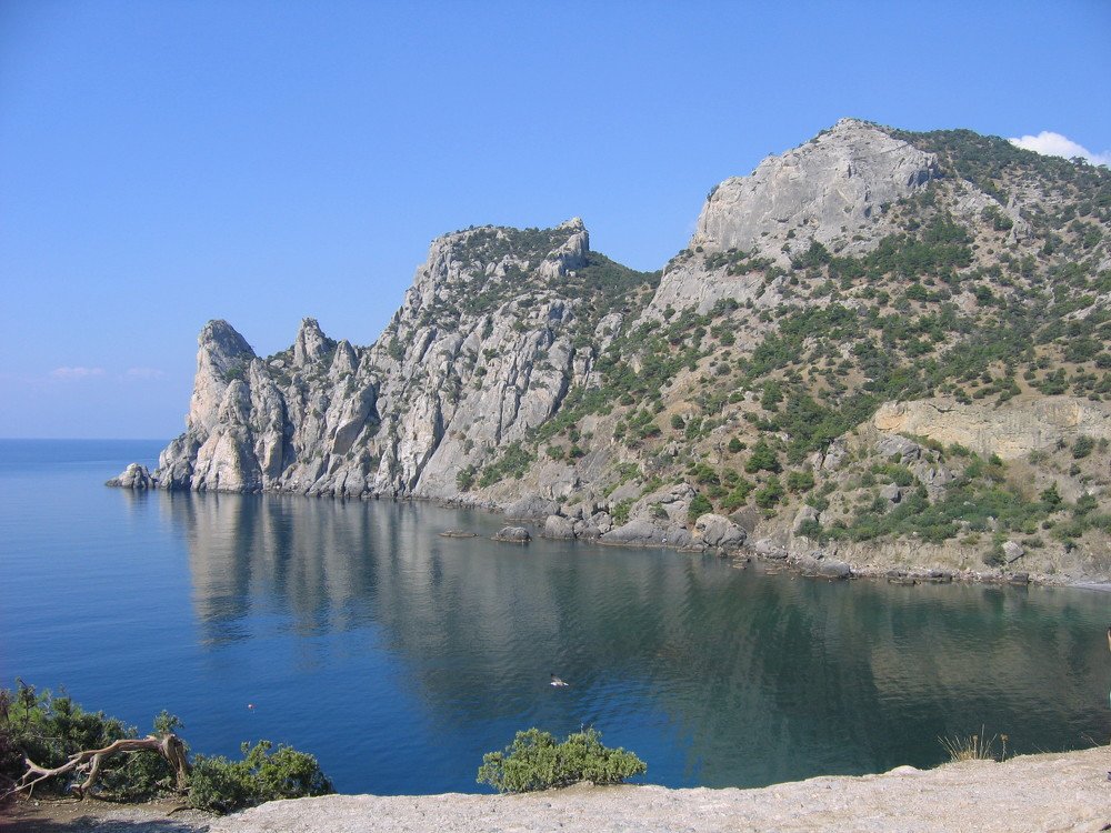 Каменный дракон