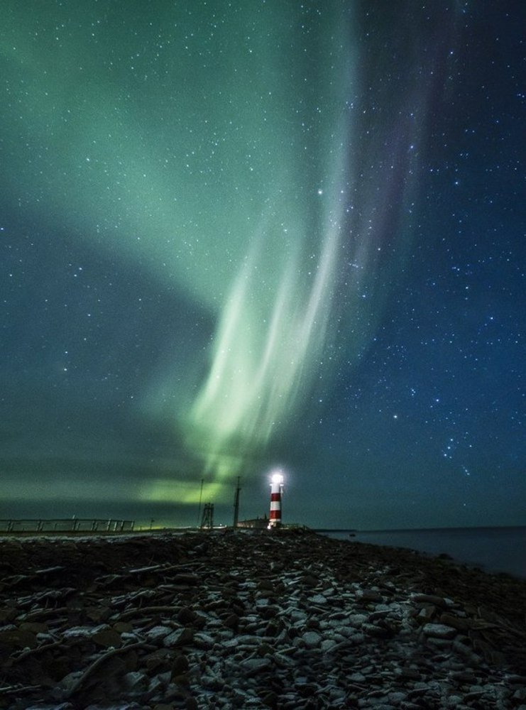 Photograph by Дмитриева Ольга Николаевна