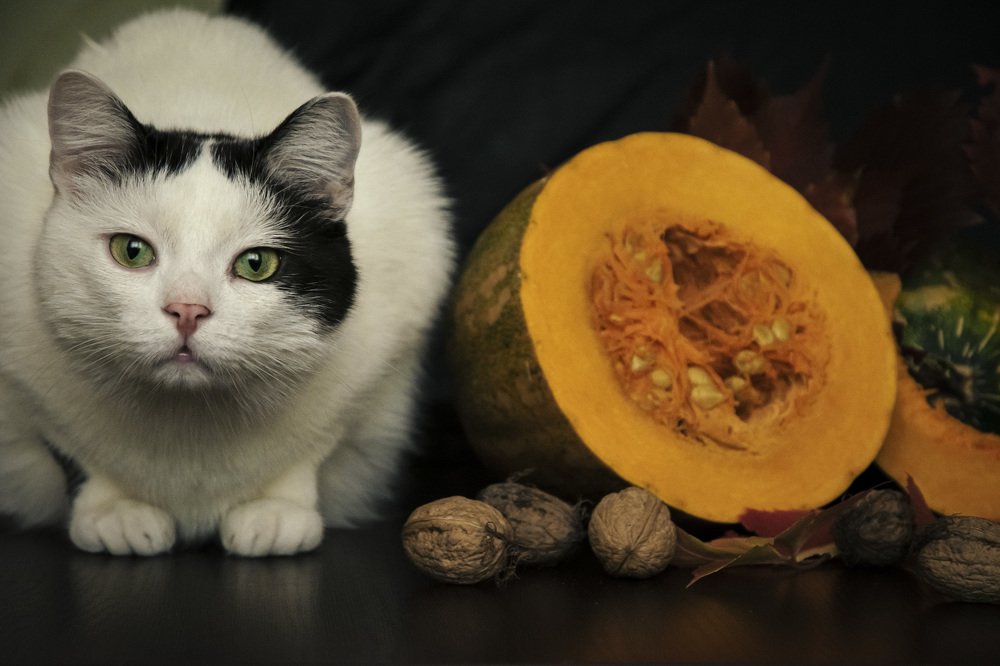 Photograph by Ирина Трофимчук