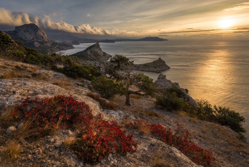 Photograph by Евгений Никоненко